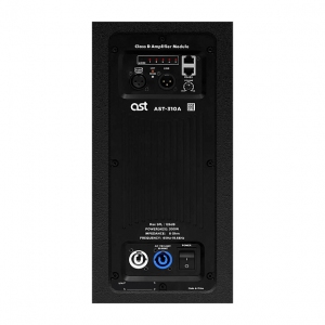 Активная акустическая система AST-310A в Звенигороде