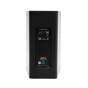 Активная акустическая система AST-310A в Звенигороде
