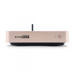 EVOBOX Plus караоке-система для дома в Звенигороде