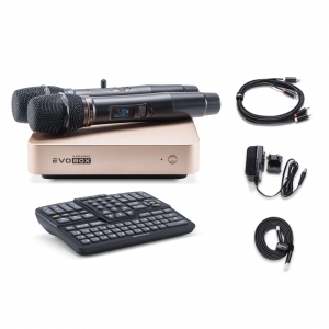 EVOBOX Plus караоке-система для дома в Звенигороде