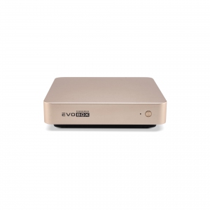 EVOBOX с микрофонами в Звенигороде